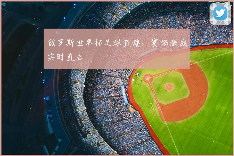 俄罗斯世界杯足球直播,赛场激战实时直击