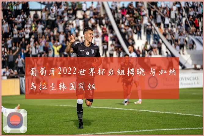 葡萄牙2022世界杯分组揭晓 与加纳乌拉圭韩国同组
